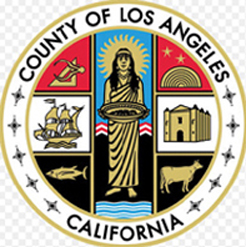 Registered Process Server in Los Angeles